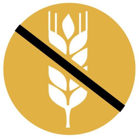 Bottiglia di birra artigianale senza glutine Giast su sfondo chiaro